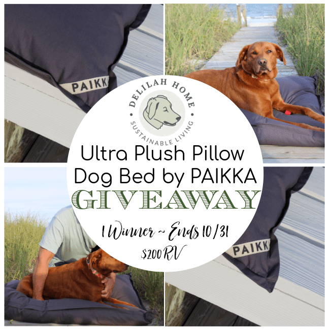 Ultra Plush Pillow Dog Bed Giveaway